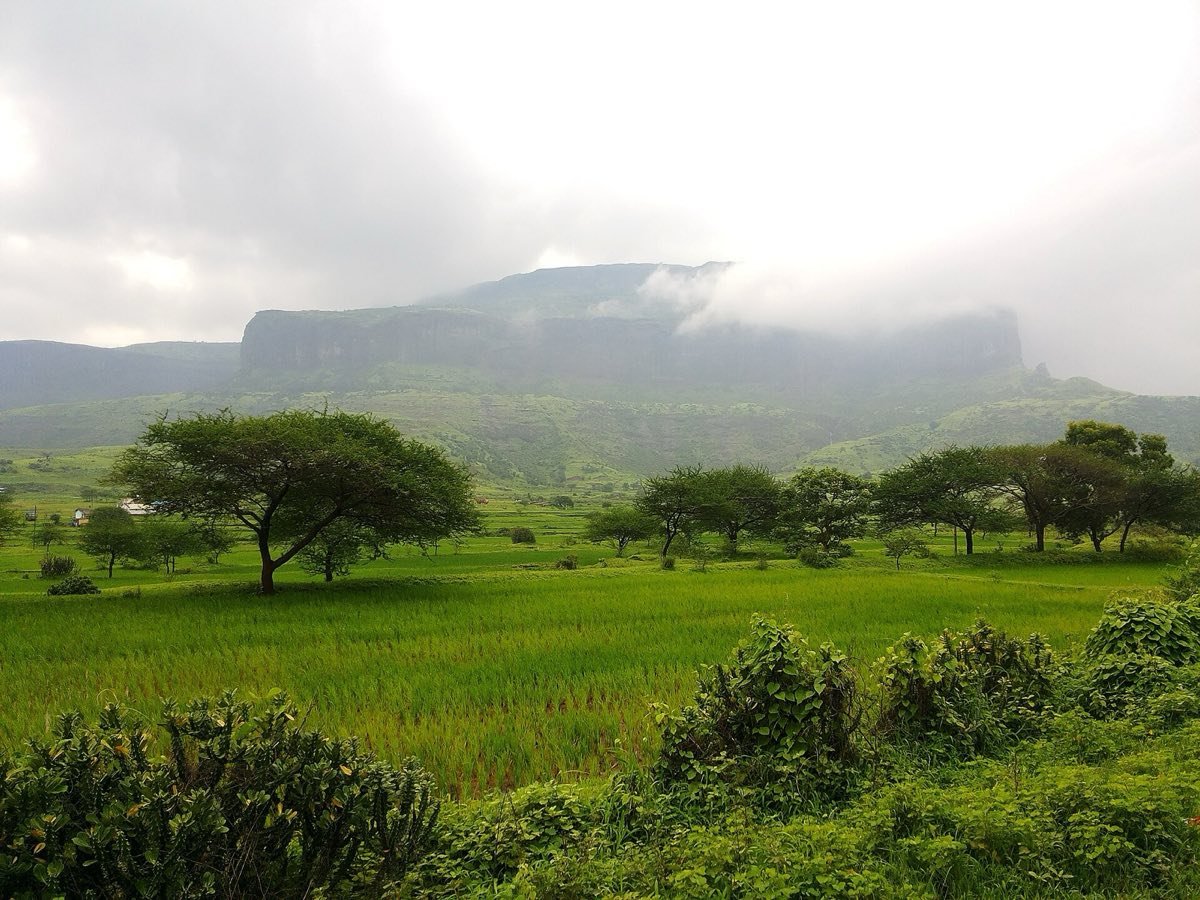 The flat top of Anjaneri hill under monsoon clouds, with green paddy fields below